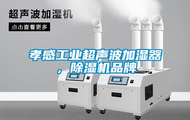 孝感工業(yè)超聲波加濕器，除濕機品牌