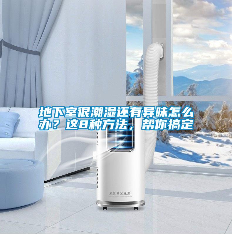地下室很潮濕還有異味怎么辦？這8種方法，幫你搞定