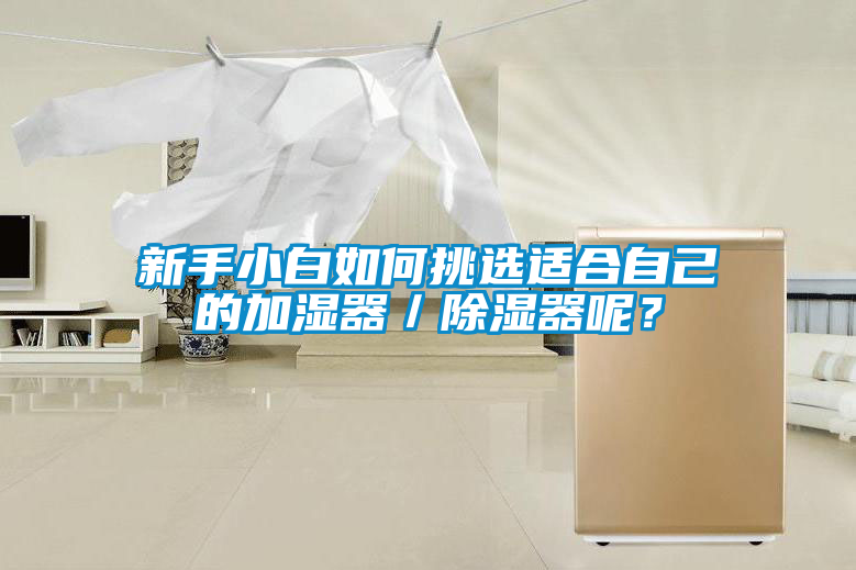 新手小白如何挑選適合自己的加濕器／除濕器呢？