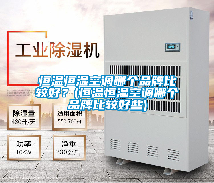 恒溫恒濕空調(diào)哪個(gè)品牌比較好？(恒溫恒濕空調(diào)哪個(gè)品牌比較好些)