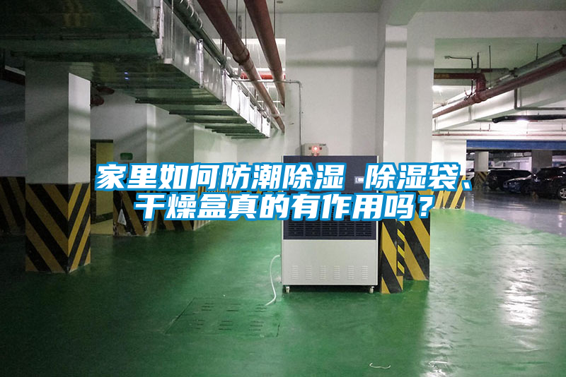 家里如何防潮除濕 除濕袋、干燥盒真的有作用嗎？