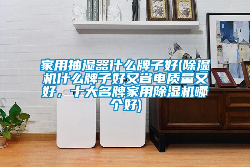 家用抽濕器什么牌子好(除濕機(jī)什么牌子好又省電質(zhì)量又好，十大名牌家用除濕機(jī)哪個好)