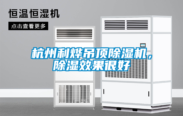 杭州利燁吊頂除濕機，除濕效果很好