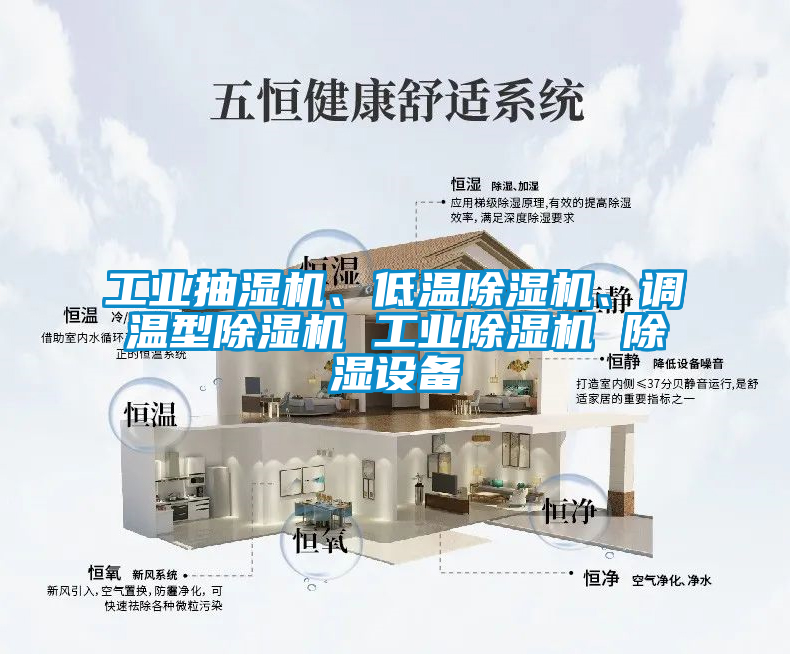 工業(yè)抽濕機(jī)、低溫除濕機(jī)、調(diào)溫型除濕機(jī) 工業(yè)除濕機(jī) 除濕設(shè)備