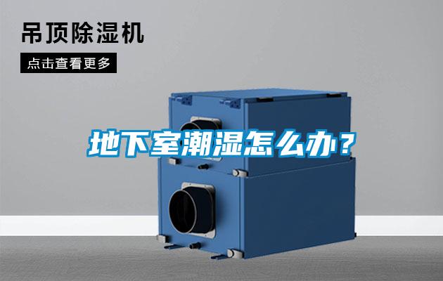 地下室潮濕怎么辦？