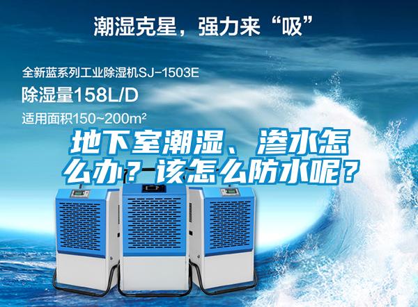 地下室潮濕、滲水怎么辦？該怎么防水呢？