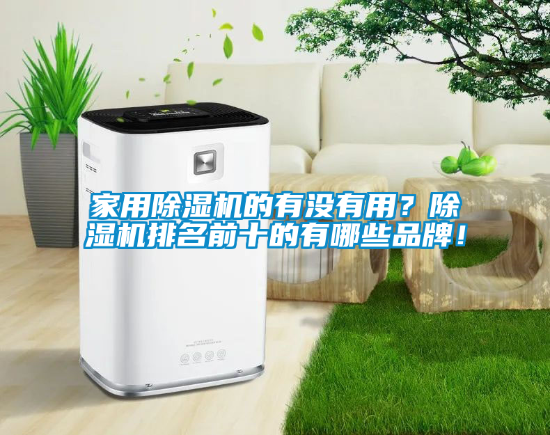 家用除濕機(jī)的有沒有用？除濕機(jī)排名前十的有哪些品牌！