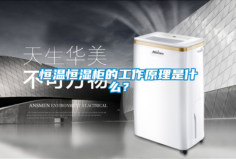 恒溫恒濕柜的工作原理是什么？