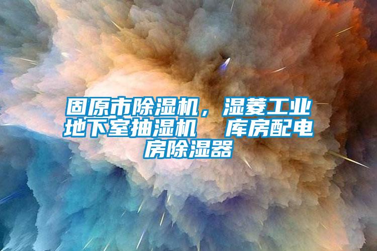 固原市除濕機(jī)，濕菱工業(yè)地下室抽濕機(jī)  庫房配電房除濕器
