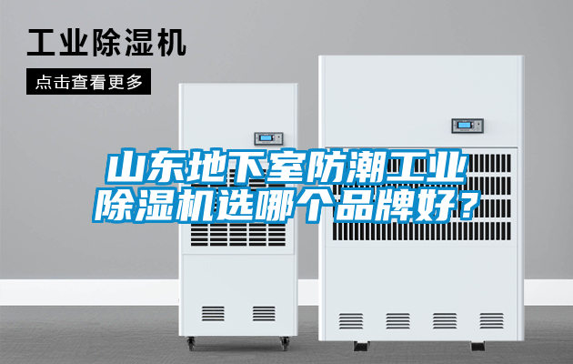 山東地下室防潮工業(yè)除濕機(jī)選哪個(gè)品牌好？