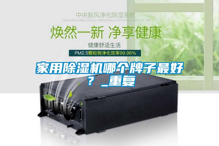 家用除濕機(jī)哪個(gè)牌子最好？_重復(fù)