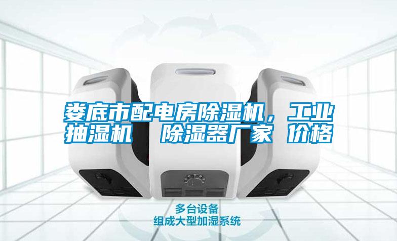 婁底市配電房除濕機(jī)，工業(yè)抽濕機(jī)  除濕器廠家 價格
