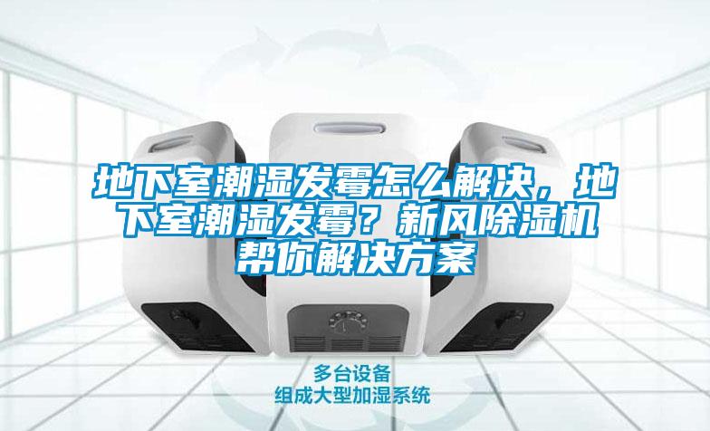 地下室潮濕發(fā)霉怎么解決，地下室潮濕發(fā)霉？新風(fēng)除濕機(jī)幫你解決方案