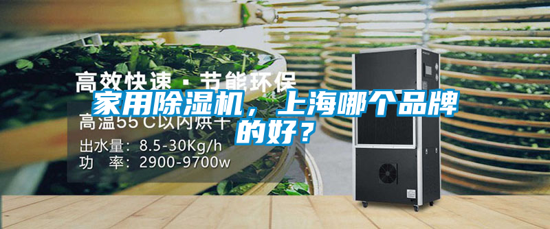 家用除濕機(jī)，上海哪個(gè)品牌的好？