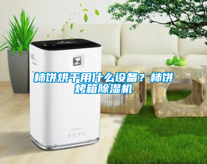 柿餅烘干用什么設(shè)備？柿餅烤箱除濕機(jī)