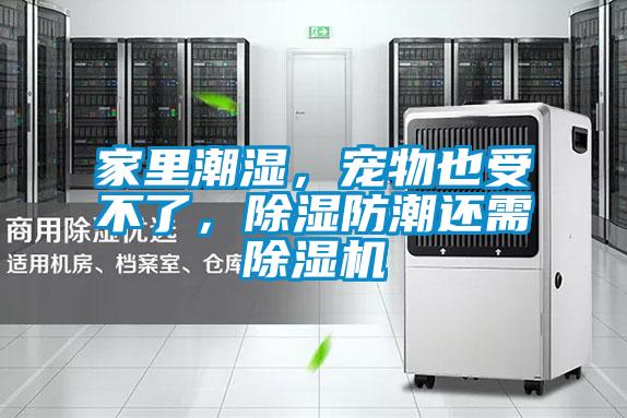 家里潮濕，寵物也受不了，除濕防潮還需除濕機(jī)