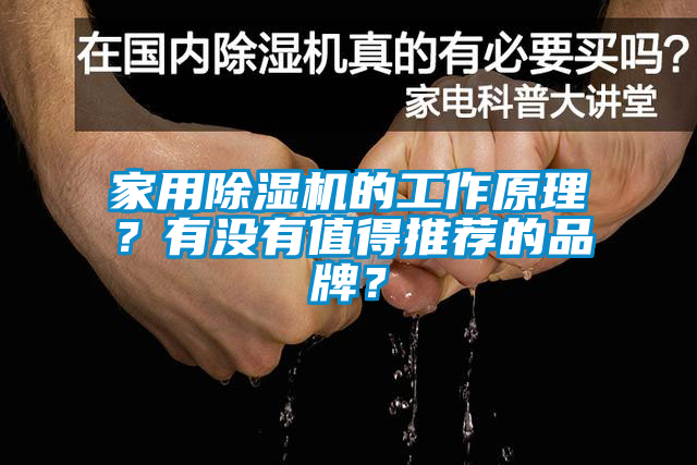 家用除濕機(jī)的工作原理？有沒有值得推薦的品牌？