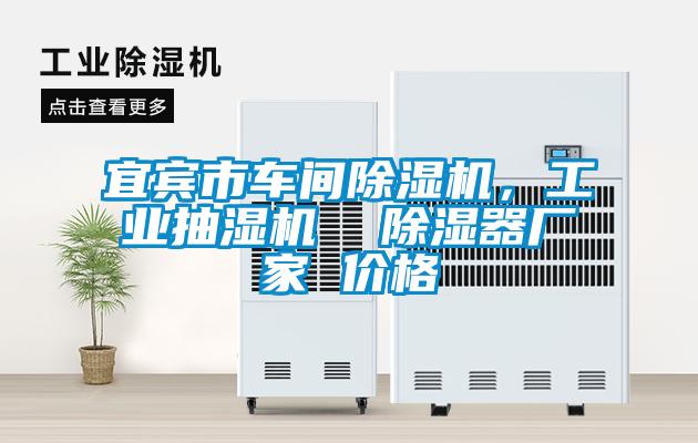 宜賓市車間除濕機，工業(yè)抽濕機  除濕器廠家 價格