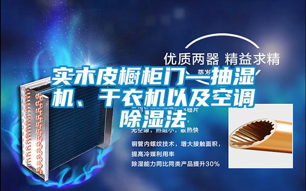 實木皮櫥柜門—抽濕機、干衣機以及空調(diào)除濕法