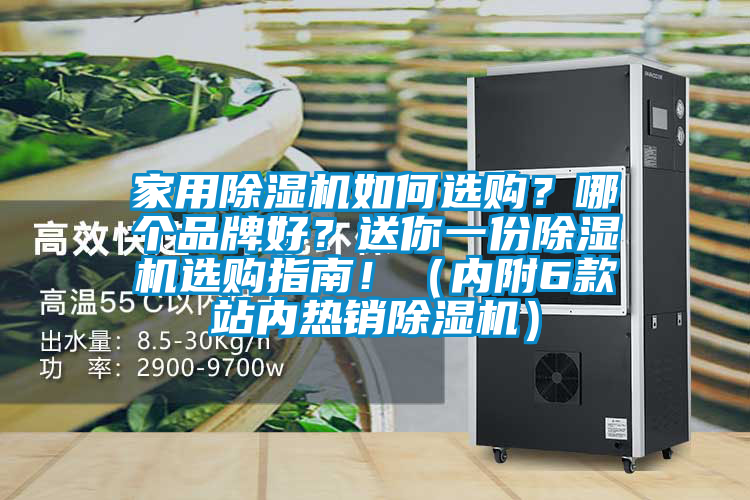 家用除濕機如何選購？哪個品牌好？送你一份除濕機選購指南！（內附6款站內熱銷除濕機）