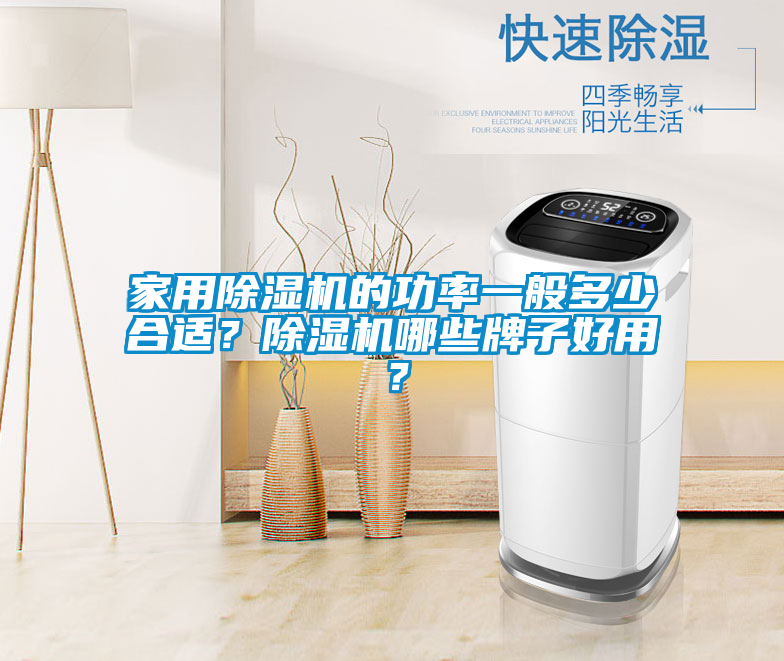 家用除濕機(jī)的功率一般多少合適？除濕機(jī)哪些牌子好用？