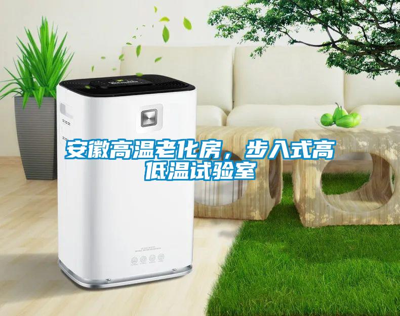 安徽高溫老化房，步入式高低溫試驗(yàn)室