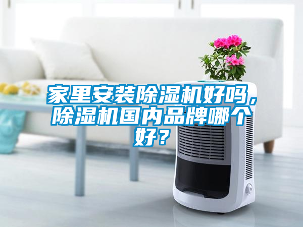 家里安裝除濕機好嗎，除濕機國內品牌哪個好？