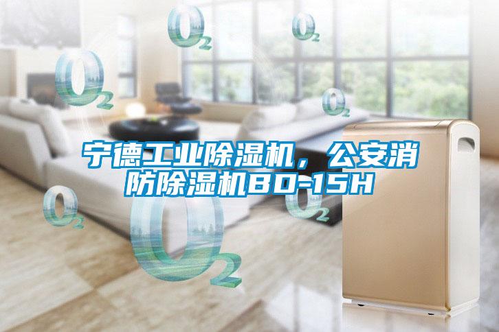寧德工業(yè)除濕機(jī)，公安消防除濕機(jī)BD-15H