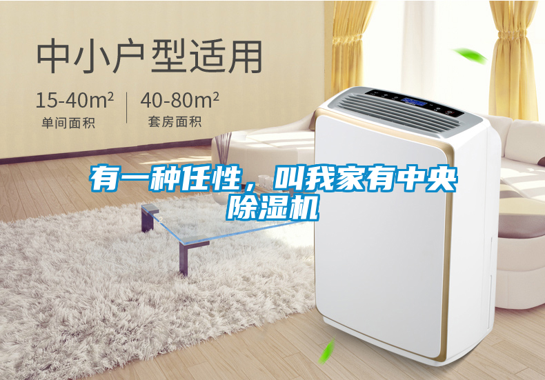 有一種任性，叫我家有中央除濕機