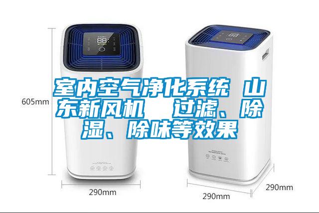 室內(nèi)空氣凈化系統(tǒng) 山東新風(fēng)機(jī)  過(guò)濾、除濕、除味等效果