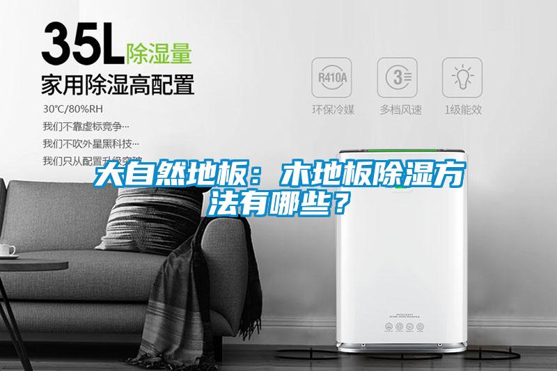 大自然地板：木地板除濕方法有哪些？