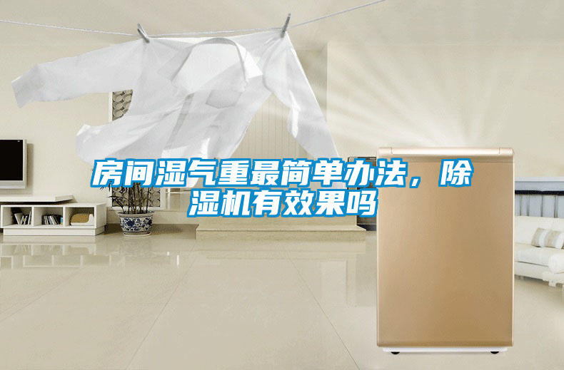 房間濕氣重最簡單辦法，除濕機有效果嗎
