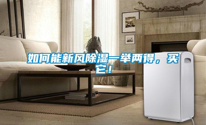 如何能新風(fēng)除濕一舉兩得，買(mǎi)它！