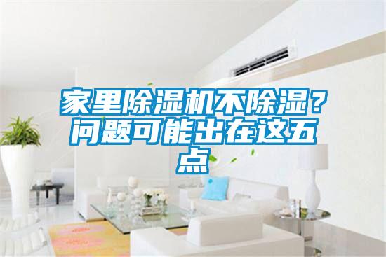 家里除濕機不除濕？問題可能出在這五點