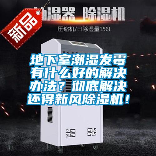 地下室潮濕發(fā)霉有什么好的解決辦法？徹底解決還得新風(fēng)除濕機(jī)！