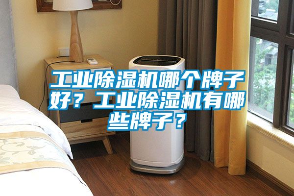 工業(yè)除濕機(jī)哪個(gè)牌子好？工業(yè)除濕機(jī)有哪些牌子？