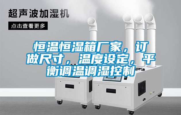 恒溫恒濕箱廠家，訂做尺寸，溫度設(shè)定，平衡調(diào)溫調(diào)濕控制