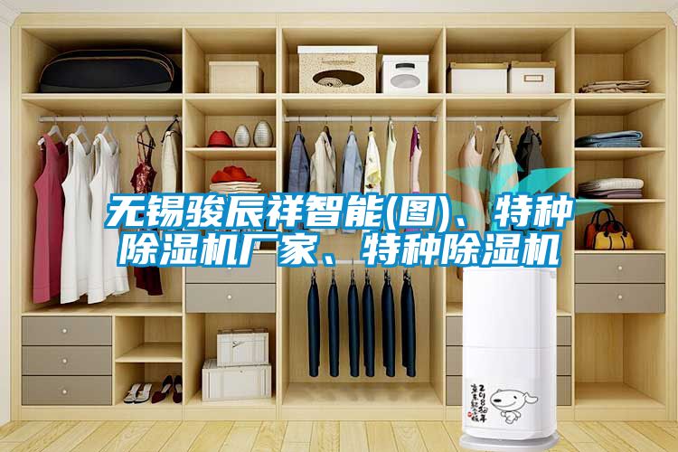 無(wú)錫駿辰祥智能(圖)、特種除濕機(jī)廠家、特種除濕機(jī)