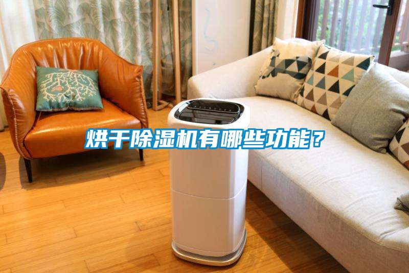 烘干除濕機有哪些功能？