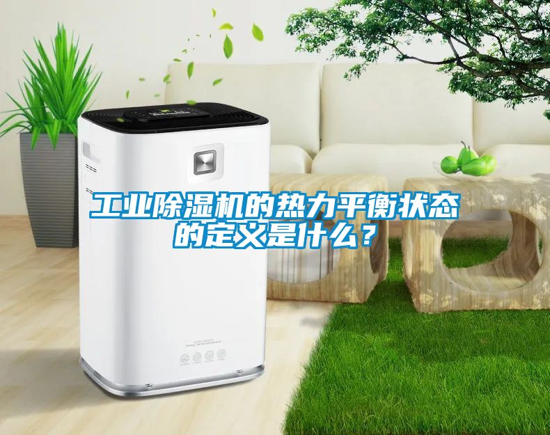 工業(yè)除濕機(jī)的熱力平衡狀態(tài)的定義是什么？
