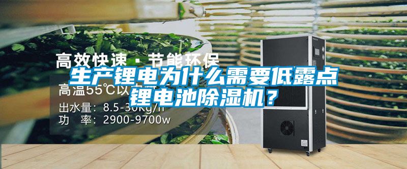 生產(chǎn)鋰電為什么需要低露點(diǎn)鋰電池除濕機(jī)？