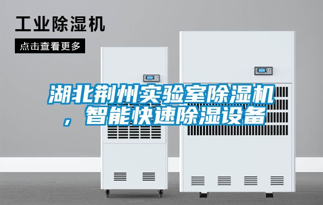 湖北荊州實(shí)驗(yàn)室除濕機(jī)，智能快速除濕設(shè)備