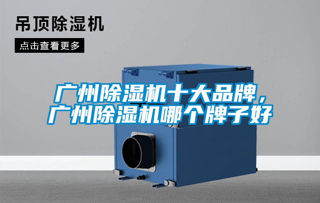 廣州除濕機(jī)十大品牌，廣州除濕機(jī)哪個牌子好