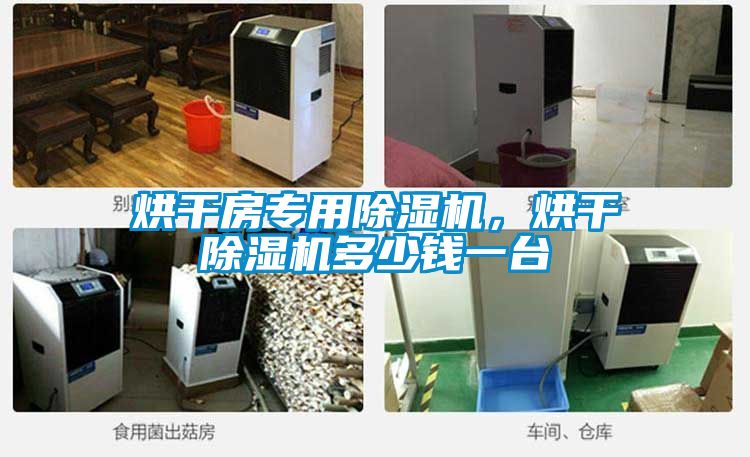 烘干房專用除濕機(jī)，烘干除濕機(jī)多少錢一臺(tái)