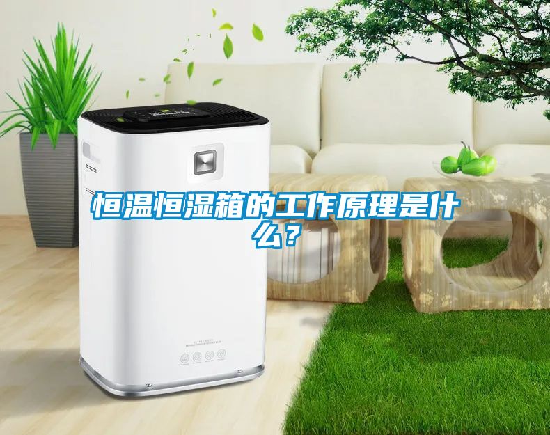 恒溫恒濕箱的工作原理是什么？