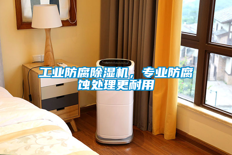 工業(yè)防腐除濕機(jī)，專業(yè)防腐蝕處理更耐用