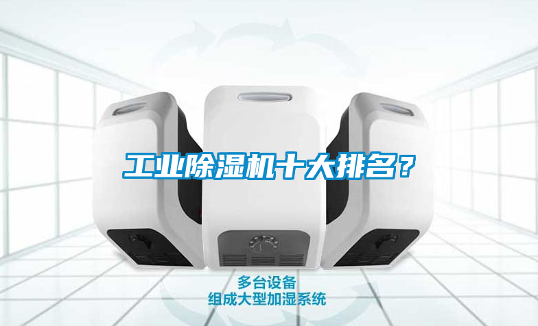 工業(yè)除濕機(jī)十大排名？