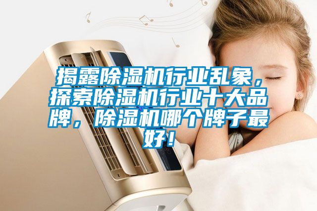 揭露除濕機(jī)行業(yè)亂象，探索除濕機(jī)行業(yè)十大品牌，除濕機(jī)哪個(gè)牌子最好！