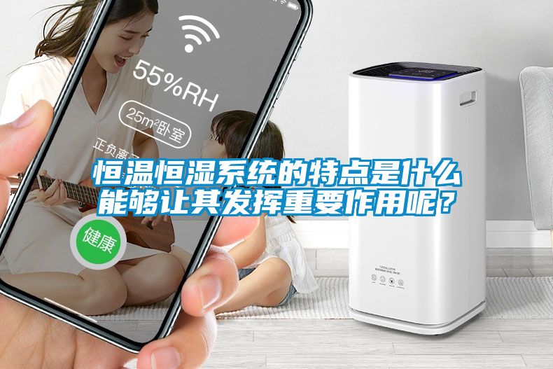 恒溫恒濕系統(tǒng)的特點(diǎn)是什么能夠讓其發(fā)揮重要作用呢？
