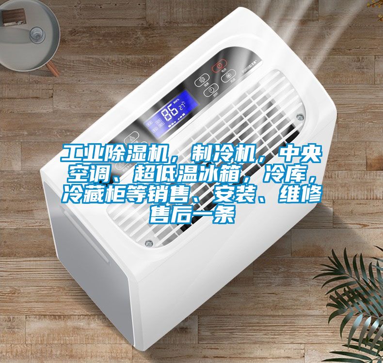 工業(yè)除濕機(jī)，制冷機(jī)，中央空調(diào)、超低溫冰箱，冷庫(kù)，冷藏柜等銷售、安裝、維修售后一條